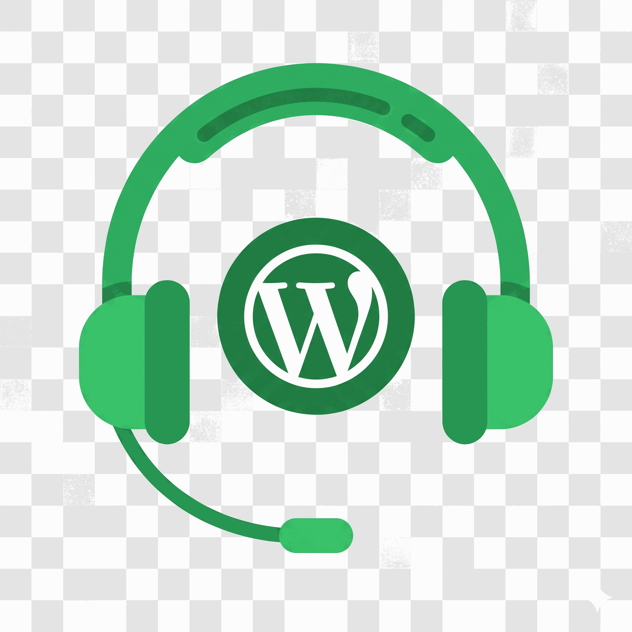 WordPress expert support